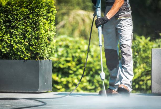 Best Building Exterior Washing  in Harrisville, WV